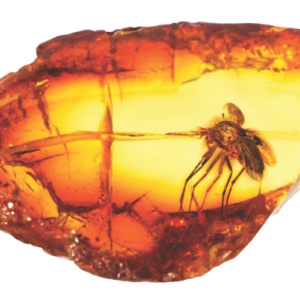Amber