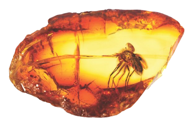 Amber