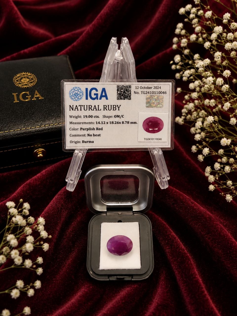 Ruby - Image 11
