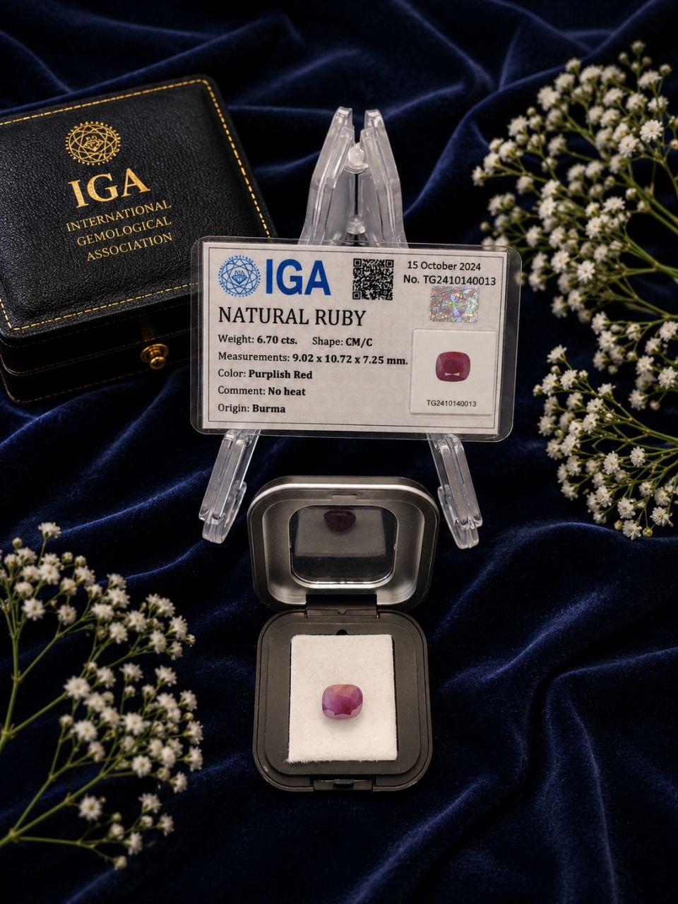Ruby - Image 5