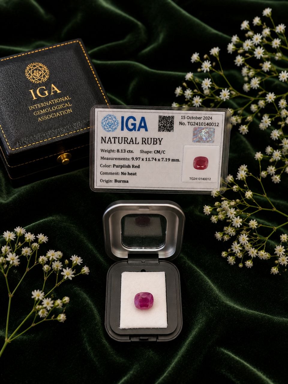 Ruby - Image 6