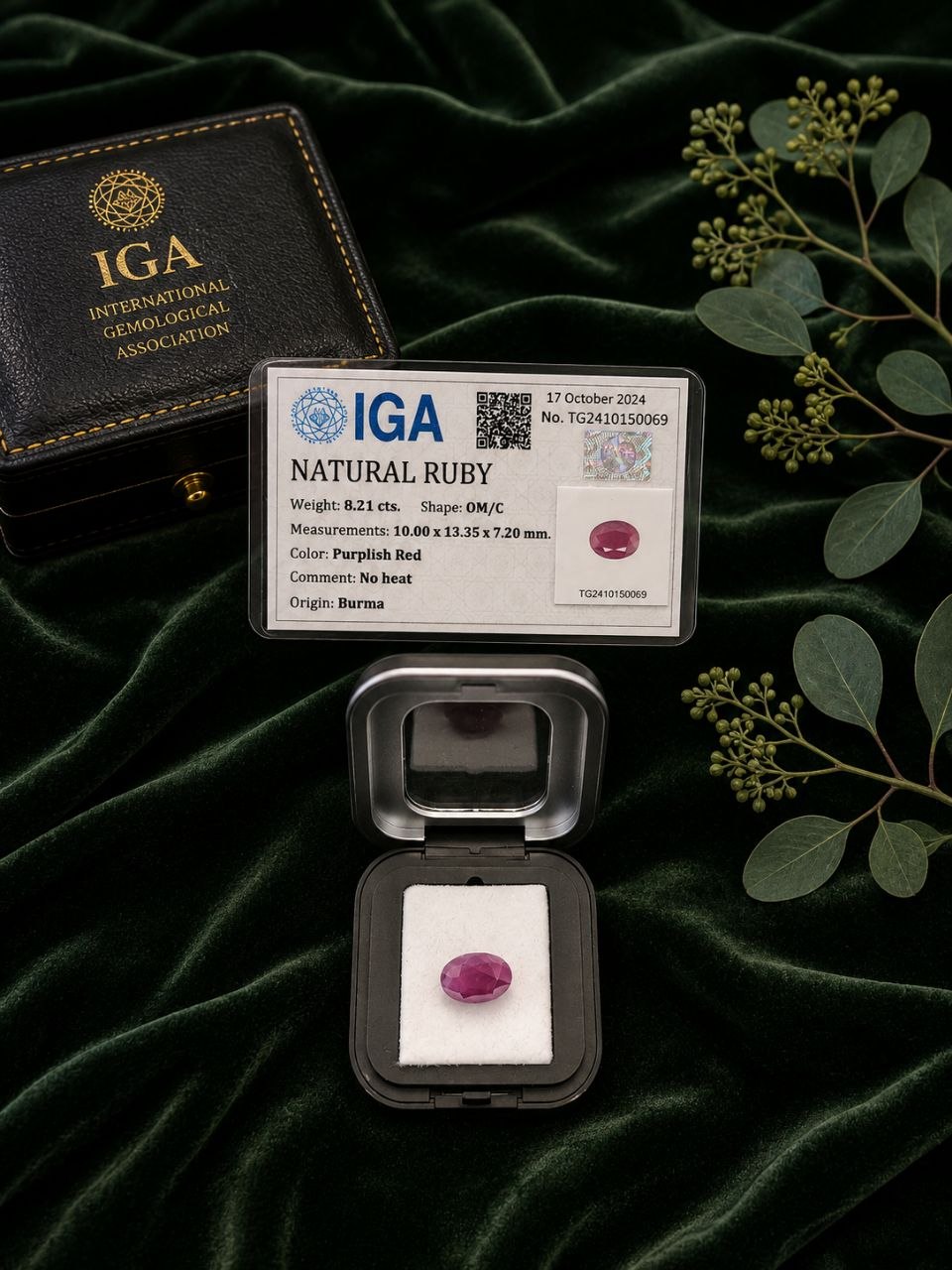 Ruby - Image 7