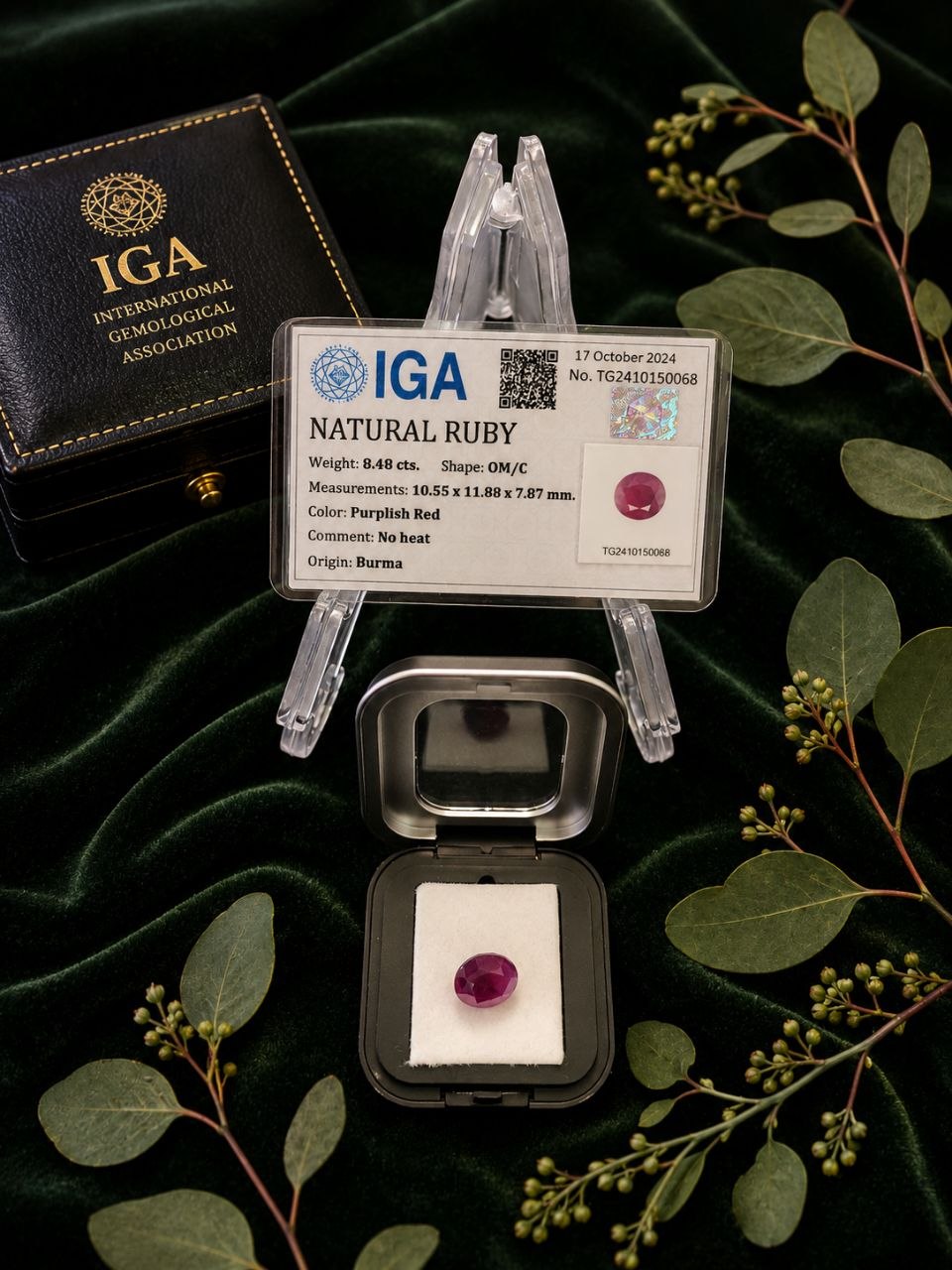 Ruby - Image 8